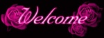 Welcome 4